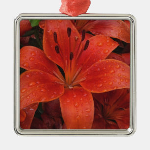 Raindrops op een Lily Metalen Ornament