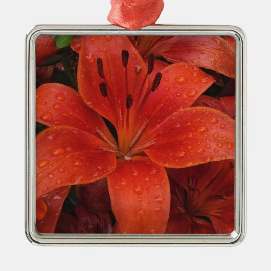 Raindrops op een Lily Metalen Ornament (Voorkant)