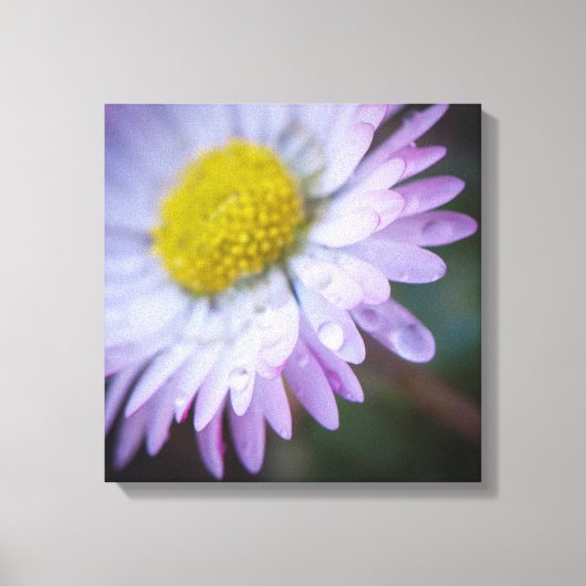 Raindrops op een maaltijd canvas afdruk (Voorkant)