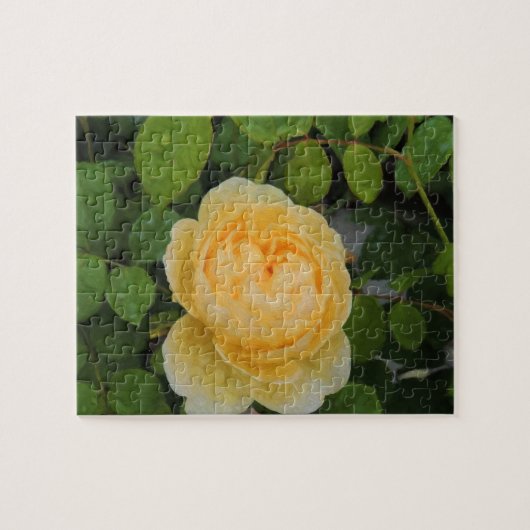 Raindrops op Gele Rose Legpuzzel (Horizontaal)