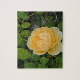 Raindrops op Gele Rose Legpuzzel