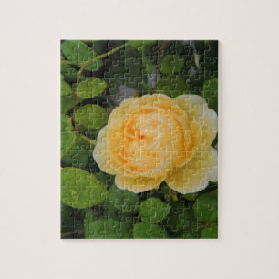 Raindrops op Gele Rose Legpuzzel