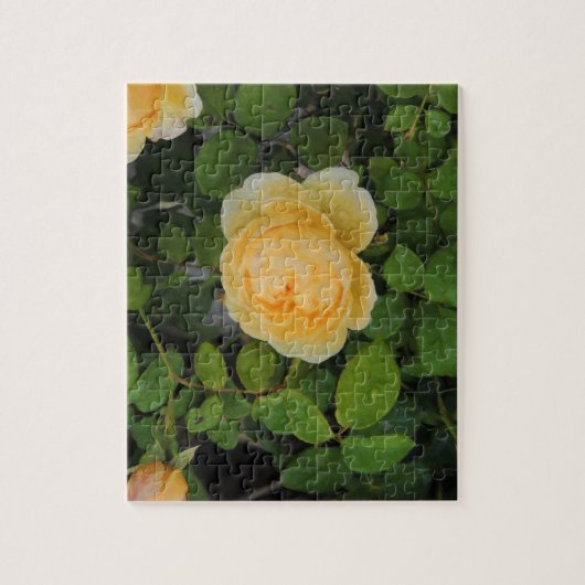 Raindrops op Gele Rose Legpuzzel (Verticaal)