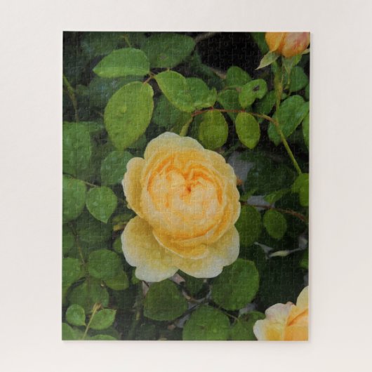 Raindrops op Gele Rose Legpuzzel (Verticaal)