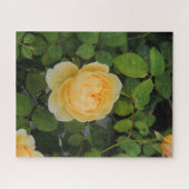 Raindrops op Gele Rose Legpuzzel (Horizontaal)