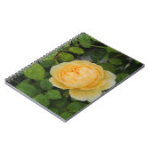 Raindrops op Gele Rose Notitieboek (Linkerzijde)