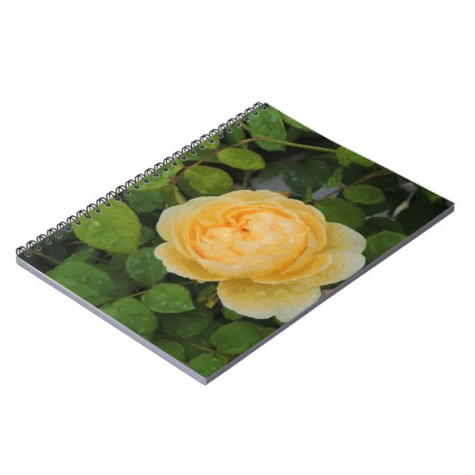 Raindrops op Gele Rose Notitieboek (Linkerzijde)