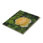 Raindrops op Gele Rose Tegeltje (Zijkant)