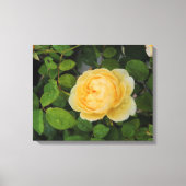 Raindrops op Gele Rozengestrekte Canvas (Voorkant)