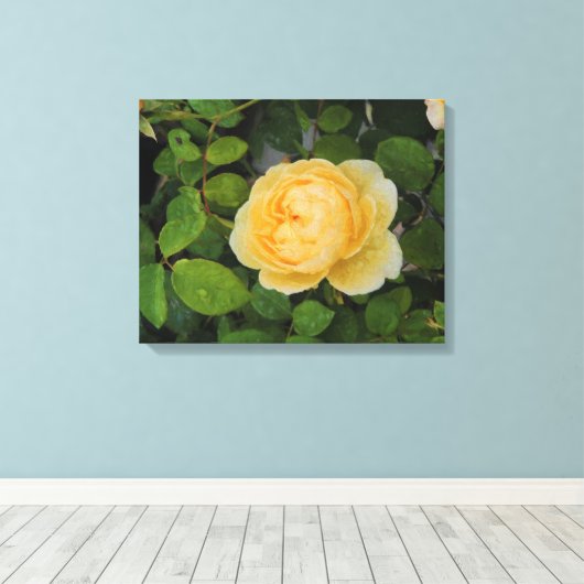 Raindrops op Gele Rozengestrekte Canvas (Insitu (Houten vloer))