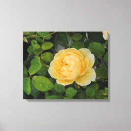 Raindrops op Gele Rozengestrekte Canvas Afdruk