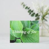 Raindrops op Hosta laat foto's van jou zien Briefkaart (Staand voorkant)