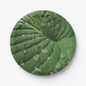 Raindrops op hosta Leaf 7-inch Bord voor papier (Voorkant)