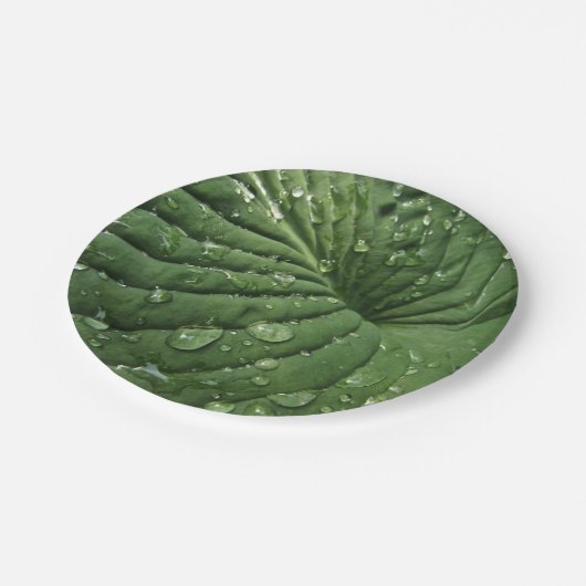Raindrops op hosta Leaf 7-inch Bord voor papier (Gekanteld)