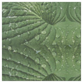 Raindrops op Hosta Leaf Abstract Fabric Stof (Close Up)
