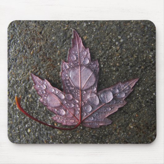 Raindrops op leder muismat (Voorkant)