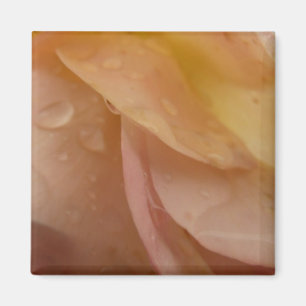 Raindrops op Roos Petals Bleek Roze Floral Magneet