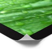 Raindrops Poster (Hoek)