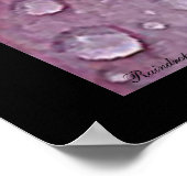 Raindrops-Poster Poster (Hoek)