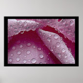 Raindrops-Poster Poster (Voorkant)