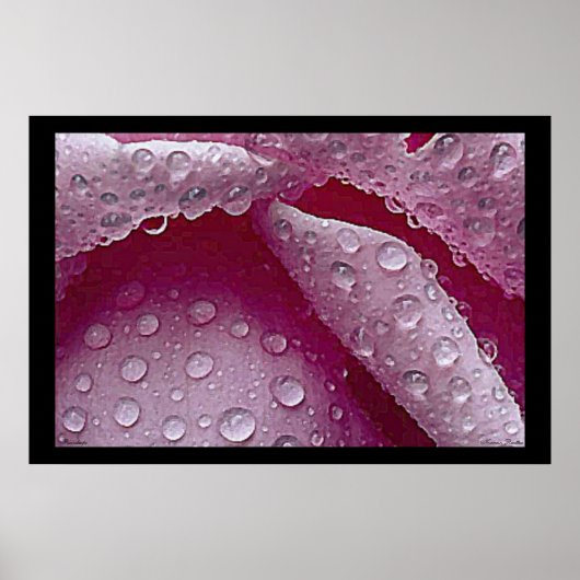 Raindrops-Poster Poster (Voorkant)
