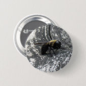 Raindrops Ronde Button 5,7 Cm (Voorkant /achterkant)