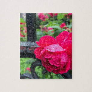 Raindrops roze roze Rozen Rainy Day NYC Legpuzzel