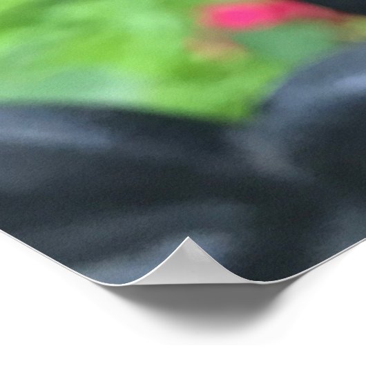 Raindrops roze roze Rozen Rainy Day NYC Poster (Hoek)