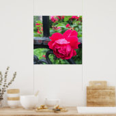 Raindrops roze roze Rozen Rainy Day NYC Poster (Keuken)