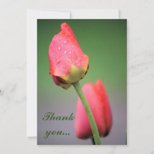 Raindrops Roze Tulieren Hartelijk dank Bedankkaart