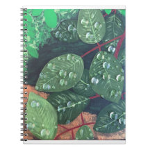 "Raindrops" Spiraal Notitieboek