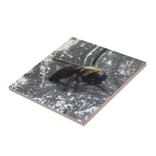 Raindrops Tegeltje (Zijkant)