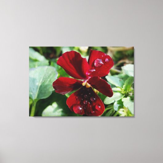 Raindrops voor paniek canvas afdruk (Voorkant)