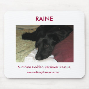 Raine - SunshineGolden Retriever Rescue Muismat