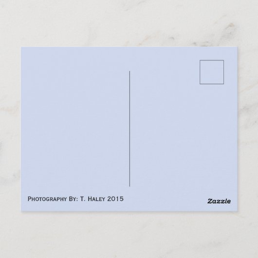 Rainer Washington Briefkaart (Achterkant)