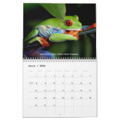 Rainforest Agenda Kalender (Mar 2026)