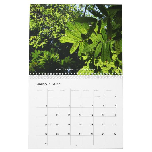 Rainforest Agenda Kalender (Jan 2027)