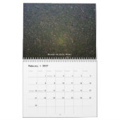 Rainforest Agenda Kalender (Feb 2027)