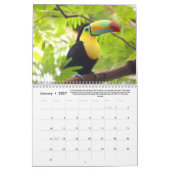 Rainforest Animals & Fun Feit 12 maanden Agenda Kalender (Jan 2027)