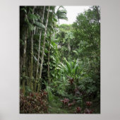 RAINFOREST BIG ISLAND POSTER (Voorkant)