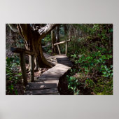 Rainforest Boardwalk met Steps Print (Voorkant)