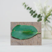 Rainforest Camouflage Briefkaart (Staand voorkant)