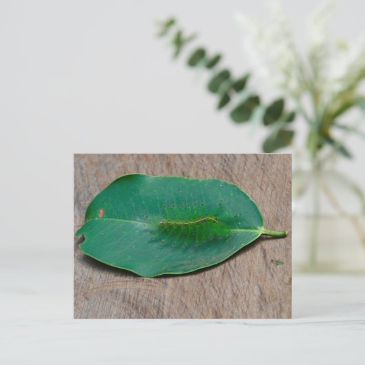 Rainforest Camouflage Briefkaart (Staand voorkant)