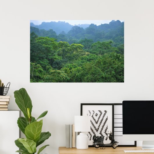 Rainforest canopa panorama poster (Thuiskantoor)