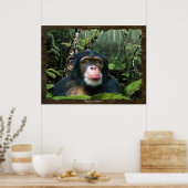 "RAINFOREST DREAMS II" Chimpansee Art Poster (Keuken)