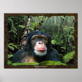 "RAINFOREST DREAMS II" Chimpansee Art Poster (Voorkant)