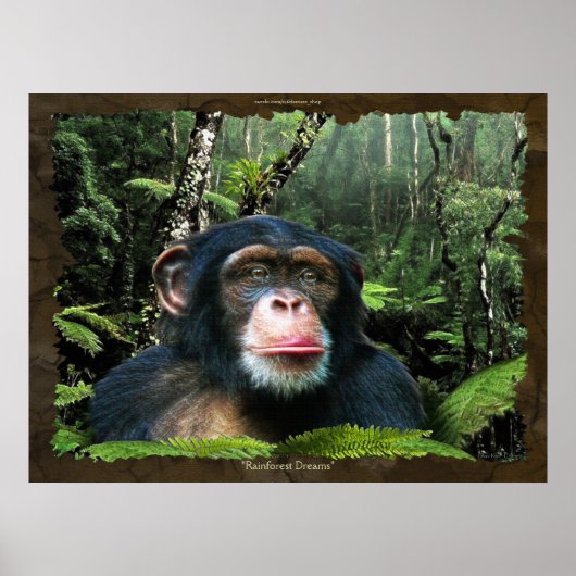 "RAINFOREST DREAMS II" Chimpansee Art Poster (Voorkant)
