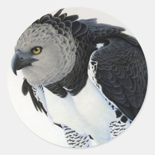 "Rainforest-Harpy Eagle" Ronde Sticker (Voorkant)