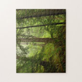Rainforest in het Olympisch Nationaal Park Foto Legpuzzel (Verticaal)