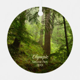 Rainforest in het Olympisch Nationaal Park Foto Metalen Ornament